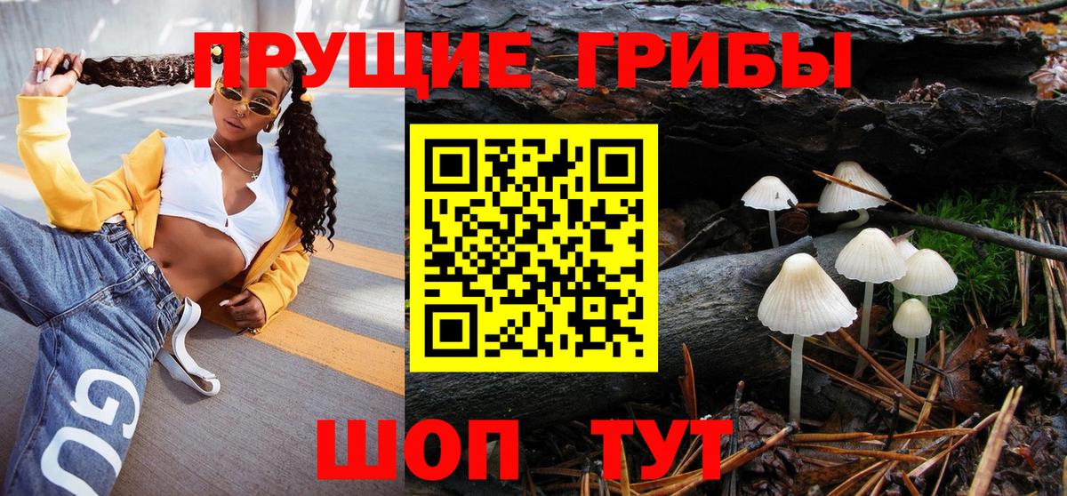 Галлюциногенные грибы Cubensis Киселёвск