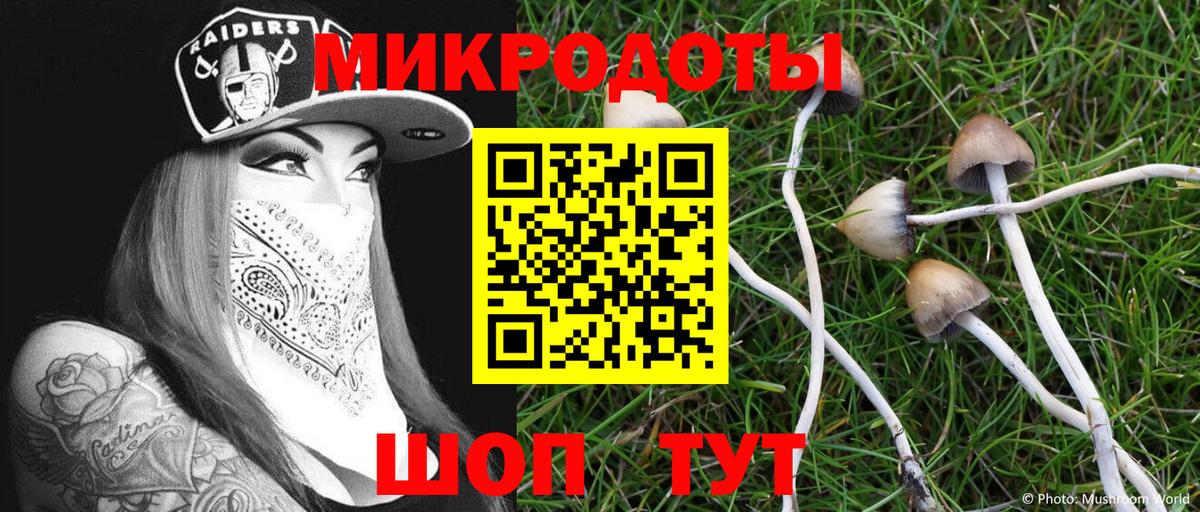 сколько стоит  Вход с VPN  Киселёвск  Галлюциногенные грибы ЛСД 